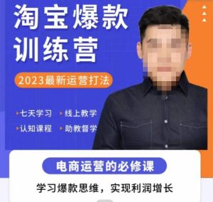 爱上黄昏·淘宝爆款训练营，2023最新运营打法，学习爆款思维，实现利润增长-资源宝库吧