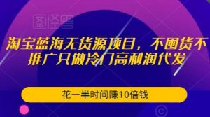 淘宝蓝海无货源项目,不囤货不推广只做冷门高利润代发,花一半时间赚10倍钱-资源宝库吧