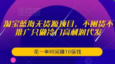 淘宝蓝海无货源项目,不囤货不推广只做冷门高利润代发,花一半时间赚10倍钱-资源宝库吧
