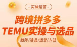 跨境拼多多TEMU实操与选品，​掌握平台运营方法技巧，选品避坑12条标准，爆款的底层思路等-资源宝库吧