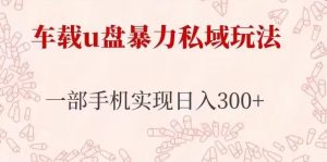车载u盘暴力私域玩法，长期项目，仅需一部手机实现日入300+-资源宝库吧