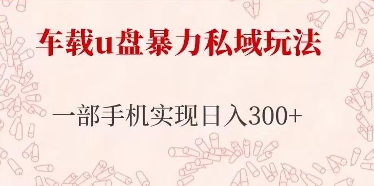 车载u盘暴力私域玩法，长期项目，仅需一部手机实现日入300+-资源宝库吧