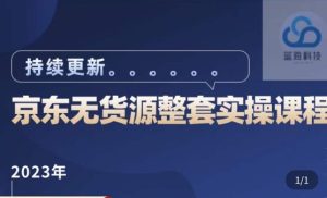 蓝七·2023京东店群整套实操视频教程，京东无货源整套操作流程大总结，减少信息差，有效做店发展-资源宝库吧