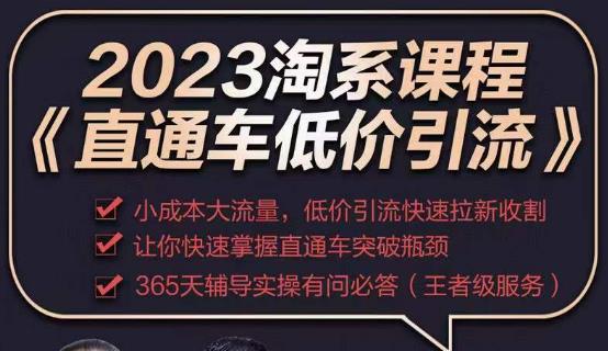 2023直通车低价引流玩法课程,小成本大流量,低价引流快速拉新收割,让你快速掌握直通车突破瓶颈-资源宝库吧