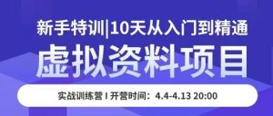 虚拟资料项目新手特训，10天从入门到精通，保姆级实操教学-资源宝库吧