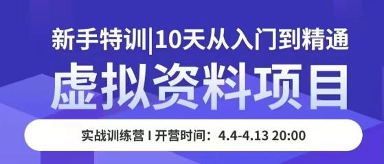 虚拟资料项目新手特训，10天从入门到精通，保姆级实操教学-资源宝库吧
