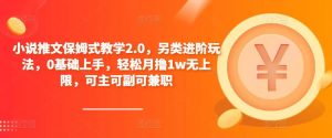 小说推文保姆式教学2.0，另类进阶玩法，0基础上手，轻松月撸1w无上限，可主可副可兼职-资源宝库吧