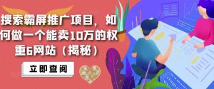 搜索霸屏推广项目，如何做一个能卖10万的权重6网站（揭秘）-资源宝库吧