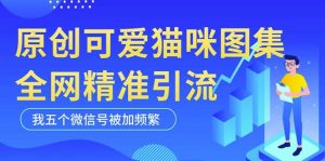 黑科技纯原创可爱猫咪图片，全网精准引流，实操5个VX号被加频繁-资源宝库吧