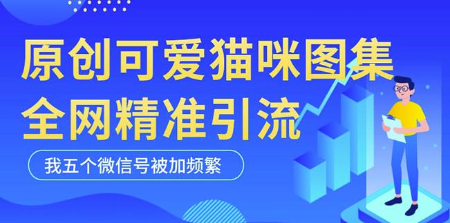 黑科技纯原创可爱猫咪图片，全网精准引流，实操5个VX号被加频繁-资源宝库吧