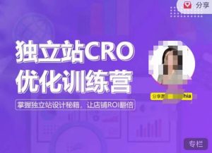 独立站CRO优化训练营，掌握独立站设计秘籍，打造高转化的独立站，让店铺ROI翻倍-资源宝库吧