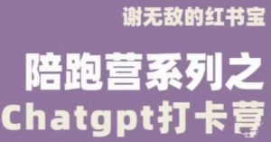 谢无敌ChatGPT打卡营，教你更好地使用ChatGPT来提高工作效率-资源宝库吧