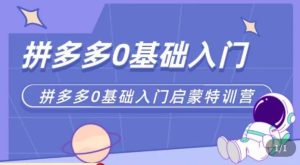 六一电商·拼多多运营0-1实操特训营，拼多多从基础到进阶的可实操玩法-资源宝库吧