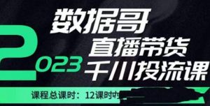 数据哥2023直播电商巨量千川付费投流实操课，快速掌握直播带货运营投放策略-资源宝库吧