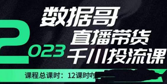 数据哥2023直播电商巨量千川付费投流实操课，快速掌握直播带货运营投放策略-资源宝库吧