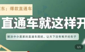 冠东·淘系直通车保姆级教程，全面讲解直通车就那么简单-资源宝库吧