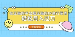 在正确的平台蹭正确的IP进行带货，轻松月入过万-资源宝库吧