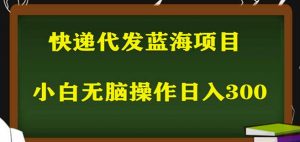 2023最新蓝海快递代发项目，小白零成本照抄也能日入300+-资源宝库吧