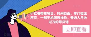 小红书带货项目，时间自由、零门槛无压货，一部手机即可操作，普通人月收过万的带货课-资源宝库吧
