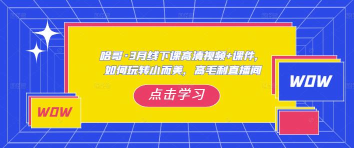 哈哥·3月线下实操课高清视频+课件,如何玩转小而美,高毛利直播间-资源宝库吧