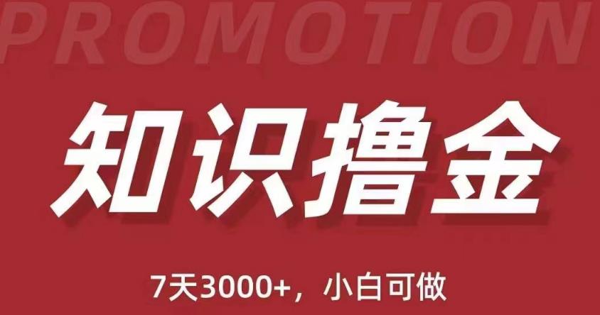 抖音知识撸金项目：简单粗暴日入1000+执行力强当天见收益(教程+资料)-资源宝库吧