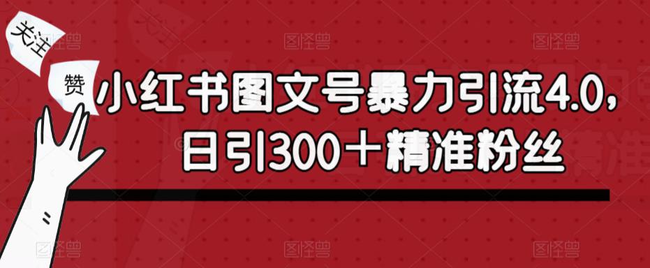 小红书图文号暴力引流4.0，日引300＋精准粉丝【揭秘】-资源宝库吧
