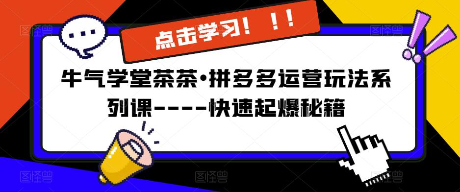 牛气学堂茶茶•拼多多运营玩法系列课—-快速起爆秘籍【更新】-资源宝库吧