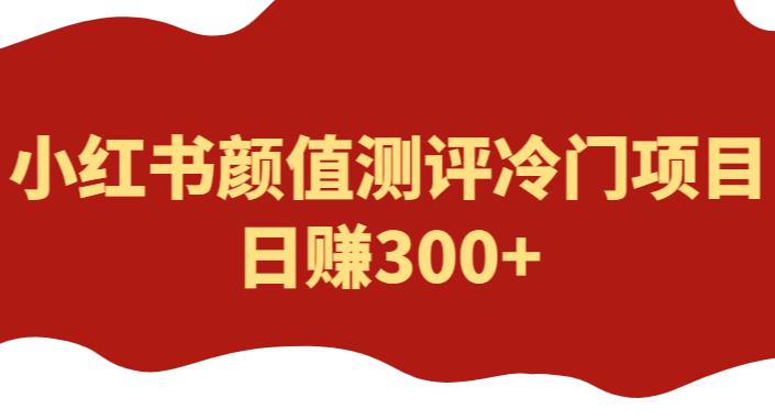 外面1980的项目,小红书颜值测评冷门项目,日赚300+【揭秘】-资源宝库吧