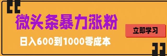 微头条暴力涨粉技巧搬运文案就能涨几万粉丝，简单0成本，日赚600【揭秘】-资源宝库吧