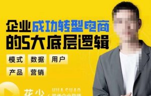 企业成功转型电商的5大底层逻辑，从模式、数据、用户、产品、营销5大板块，助你高效转型电商赛道-资源宝库吧