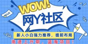 有道词典WOW社区项目，新人小白强力推荐，提前布局，高速上升期，蓝海项目【揭秘】-资源宝库吧