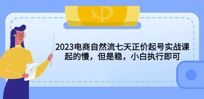 2023电商自然流七天正价起号实战课：起的慢，但是稳，小白执行即可！-资源宝库吧