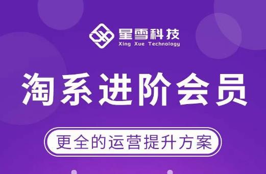 星雪·淘系进阶课程，快速提升突破技能流量瓶颈必备（更新2023年5月）-资源宝库吧