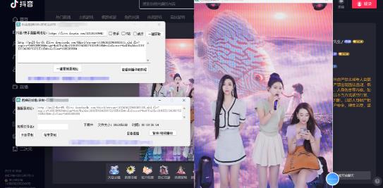 最新电脑版抖音/快手/B站直播源获取+直播间实时录制+直播转播软件【全套软件+详细教程】-资源宝库吧