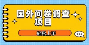 国外问卷调查项目，日入300+，在家赚美金【揭秘】-资源宝库吧