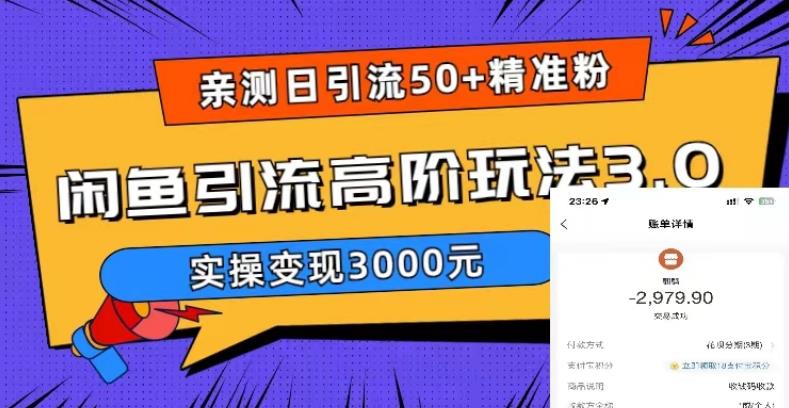 亲测日引50+精准粉，闲鱼引流高阶玩法3.0，实操变现3000元【揭秘】-资源宝库吧