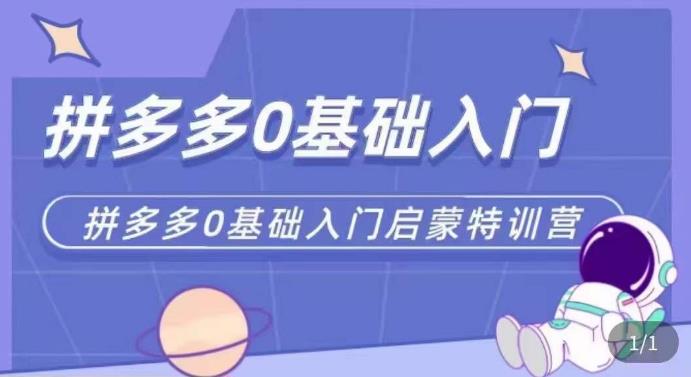 拼多多运营0-1实操特训营,拼多多0基础入门,从基础到进阶的可实操玩法-资源宝库吧