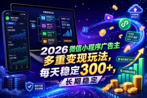 2026微信小程序广告主,多重变现玩法,每天稳定300+,长期稳定【揭秘】-资源宝库吧