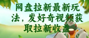 网盘拉新最新玩法，发好奇视频获取拉新收益，抖音收藏家玩法-资源宝库吧