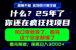 26年,请不要疯狂的找项目做了!卖项目才是真的稳賺不赔,看完照做,保底日入1k+【揭秘】-资源宝库吧