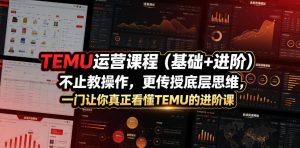TEMU运营课程（基础+进阶），不止教操作，更传授底层思维，一门让你真正看懂TEMU的进阶课-资源宝库吧