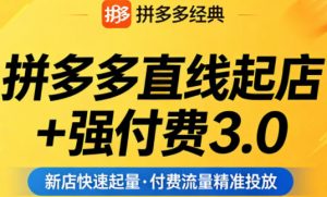 拼多多直线起店+强付费3.0，教你稳定起店、高效控投产、破解流量瓶颈（更新6月）-资源宝库吧