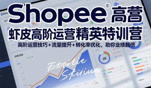 Shopee虾皮高阶运营精英特训营,高阶运营技巧+流量提升+转化率优化,助你业绩翻倍(更新26年7月)-资源宝库吧