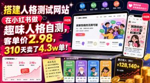 搭建人格测试网站在小红书做趣味人格自测,客单价2.98,310天卖了4.3w单!-资源宝库吧