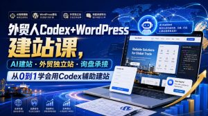 外贸人Codex+WordPress建站课,AI建站·外贸独立站·询盘承接,从0到1学会用Codex辅助建站-资源宝库吧