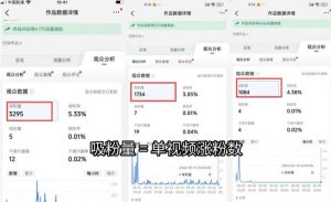 苗子起号涨粉实战变现训练营,多类目零基础爆款起号、精准起号节奏、新手稳涨粉可落地变现全课(更新0719)-资源宝库吧