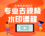 专业去视频水印教程 静态水印、动态水印、文字水印、图片水印一套教程通通搞定-资源宝库吧