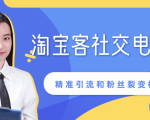 某站内部课程:淘宝客社交电商裂变,精准引流和粉丝裂变模式详解(共6节视频)-资源宝库吧