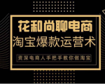 花和尚·天猫淘宝爆款运营实操技术,手把手教你月销万件的爆款打造技巧-资源宝库吧