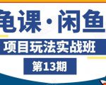 龟课·闲鱼项目玩法实战班第13期,轻松玩转闲鱼,多渠道多方法引流到私域流量池-资源宝库吧